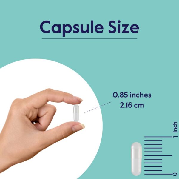 Etiqueta frontal BESTVITE PABA 500mg en frasco