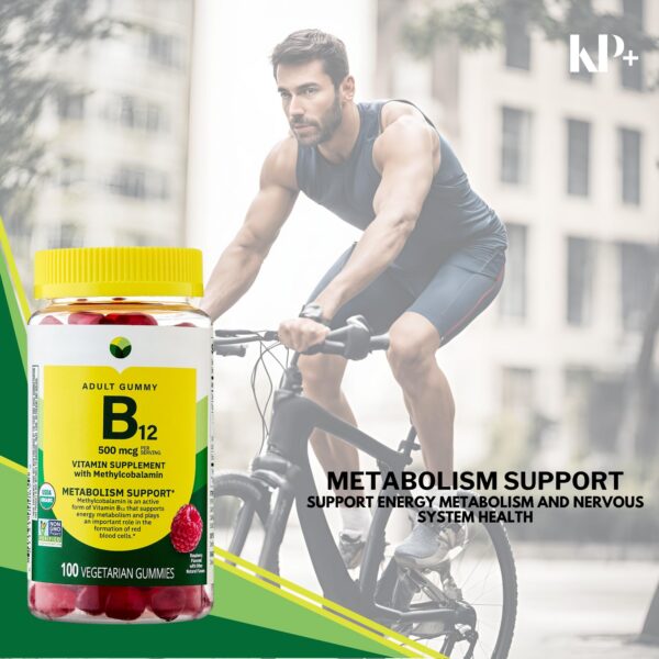 Version 1.0.0 Etiqueta frontal KP+ Spring Valley B12