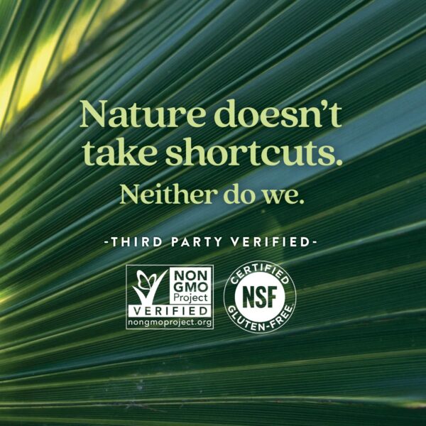 Version 1.0.0 Etiqueta frontal Zyflamend Prostate New Chapter suplemento prostático