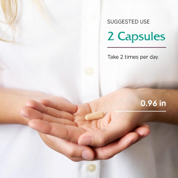 Etiqueta con información del suplemento BreastBlend de Vitanica