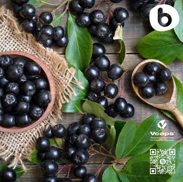 Version 1.0.0 Etiqueta con lista de ingredientes