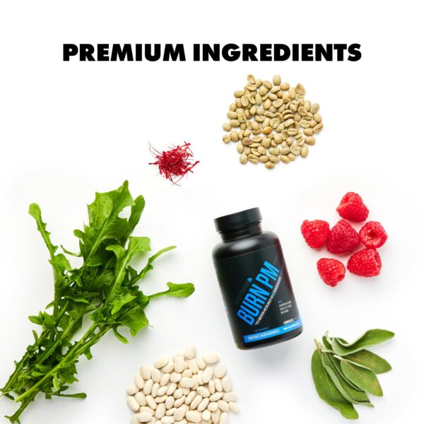 Etiqueta e ingredientes Burn PM