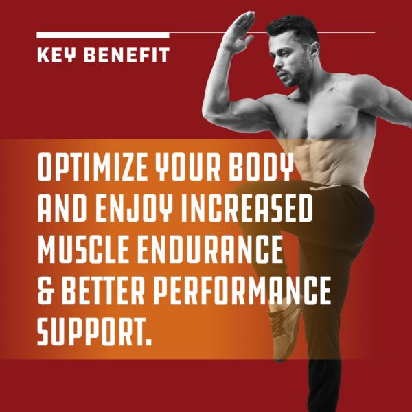 Version 1.0.0 Etiqueta de ingredientes y composición