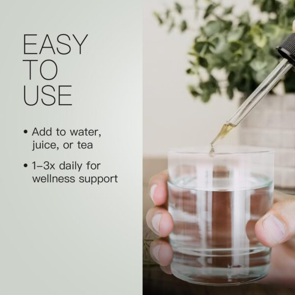 Etiqueta de ingredientes