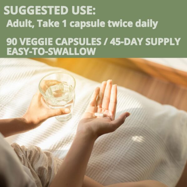 Version 1.0.0 Etiqueta posterior suplemento vitamina B INNERVISNUTRITION