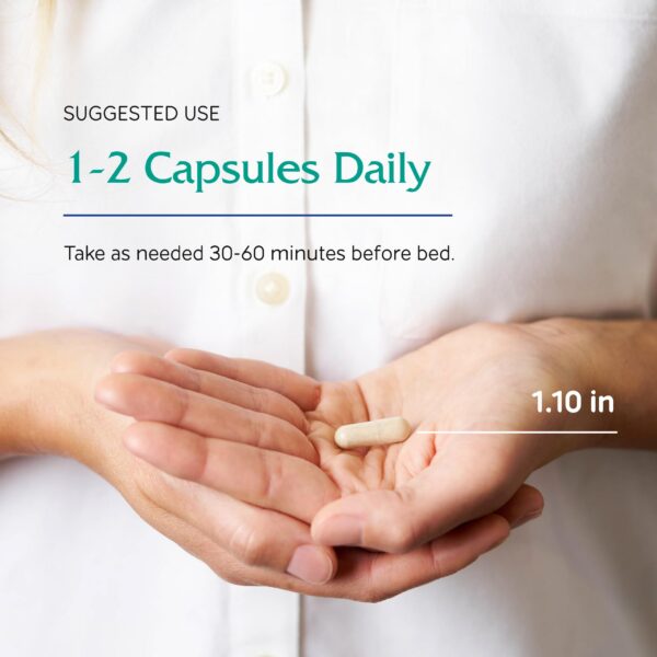 Etiqueta del producto Vitanica SleepBlend con ingredientes principales