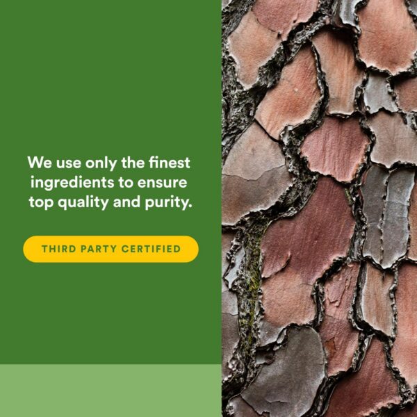 Etiqueta del producto Pycnogenol 100 mg Natural Factors