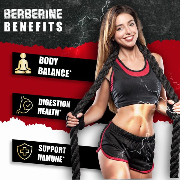 Etiqueta suplemento Berberina BMVINVOL con ingredientes activos