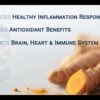 Etiqueta suplemento Bio-Curcumina Life Extension 400mg