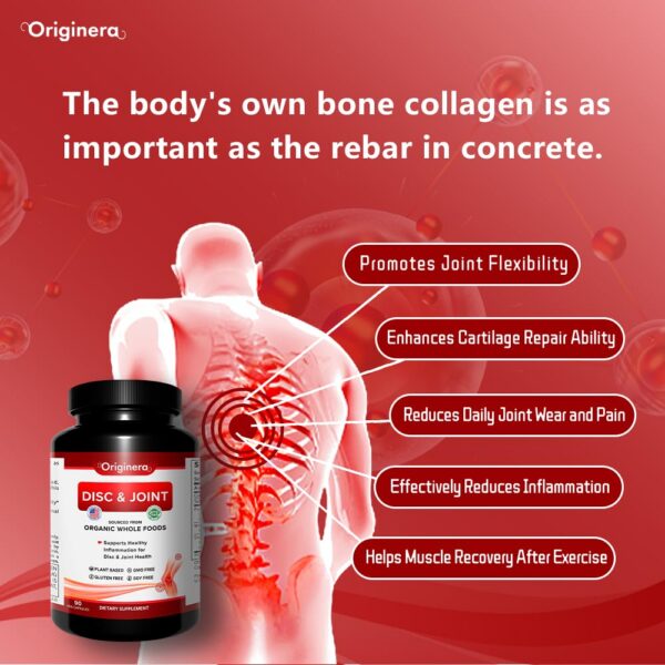 Version 1.0.0 Etiqueta suplemento para discos y articulaciones vegano Originera