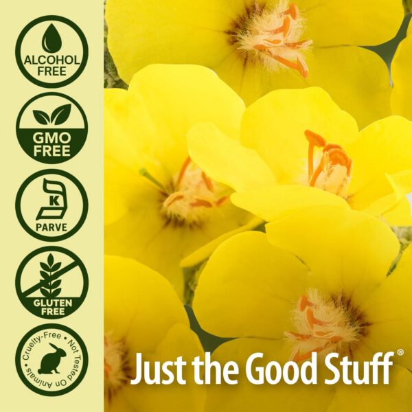 Nature's Answer extracto líquido orgánico para pulmones saludables