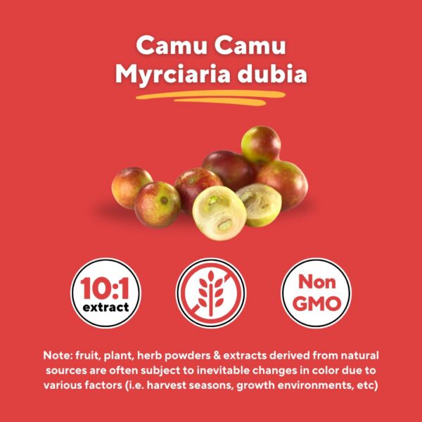 Etiqueta suplemento Vitapia Camu Camu vitamina C 120 cápsulas