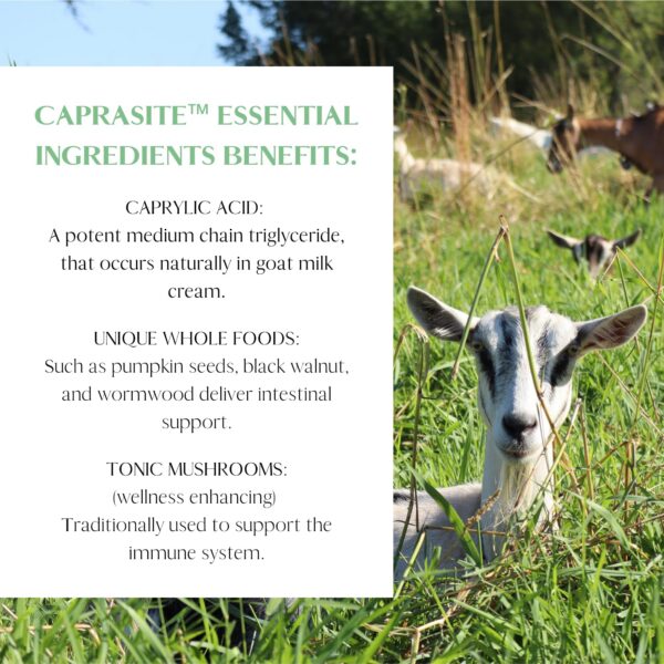 Etiqueta trasera de CapraSite con información nutricional