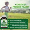 Etiqueta trasera suplemento cardo mariano Natures Wellness