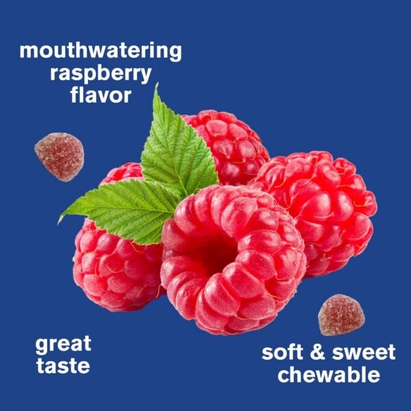 Version 1.0.0 Etiqueta trasera WellYeah gomitas B12