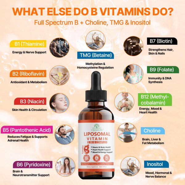 Version 1.0.0 Etiqueta vegana y no-gmo del Liposomal B Complex