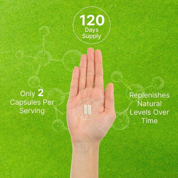 Version 1.0.0 Etiquetas suplemento fosfatidilserina de alta calidad