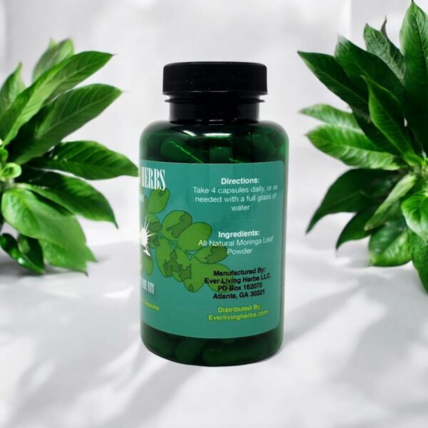 Moringa polvo y cápsulas Ever Living Herbs