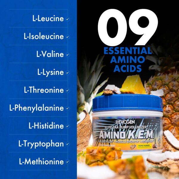 Version 1.0.0 Envase Evogen Amino K.E.M. en estante