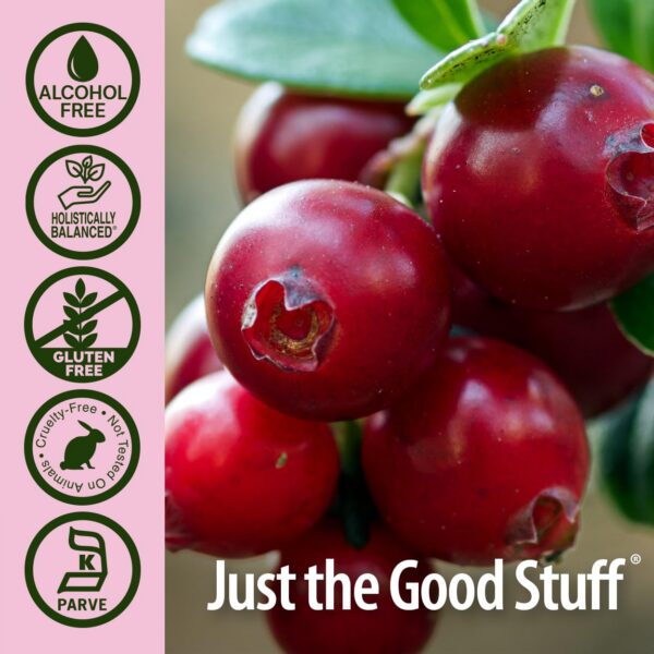 Version 1.0.0 Extracto de arándano Nature's Answer desde otro ángulo