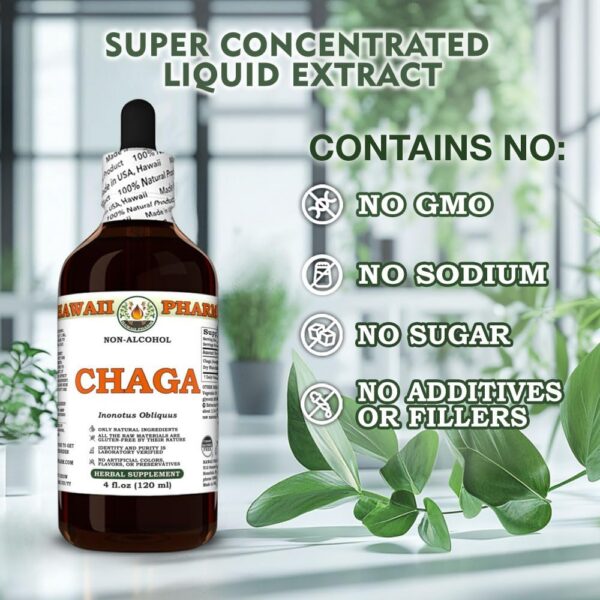 Extracto de Chaga vegano y natural