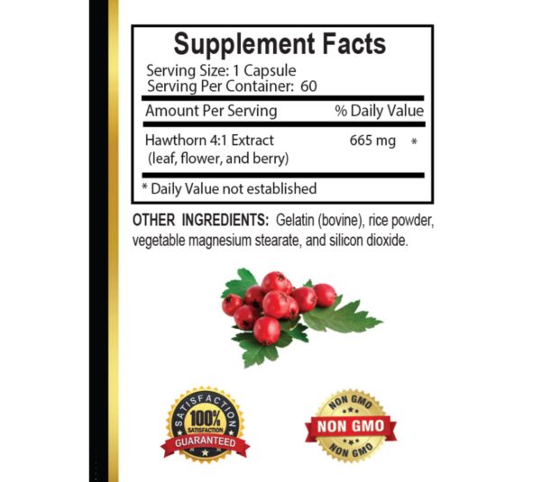 Suplemento antioxidante bayas de espino OLANTA 60 cápsulas fácil