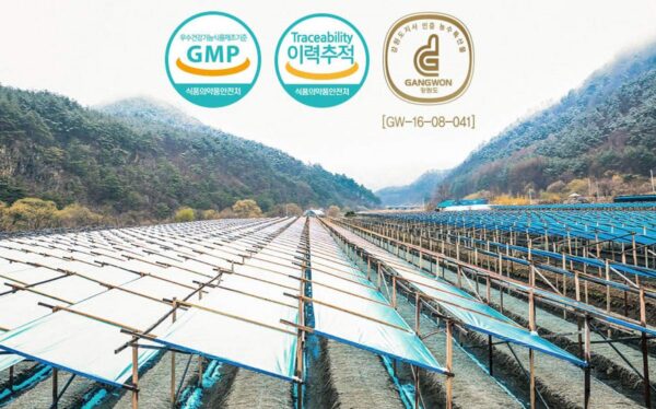 Version 1.0.0 Extracto de ginseng rojo Gangwoninsam 500g presentación