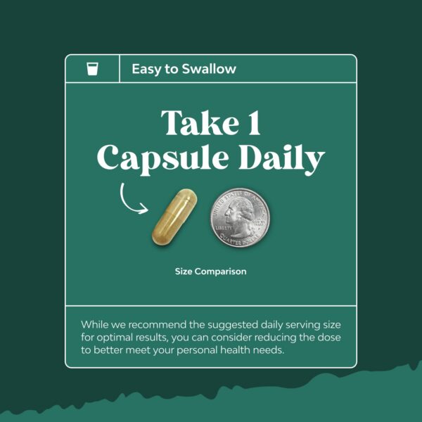 extracto grano café verde nature berg envase