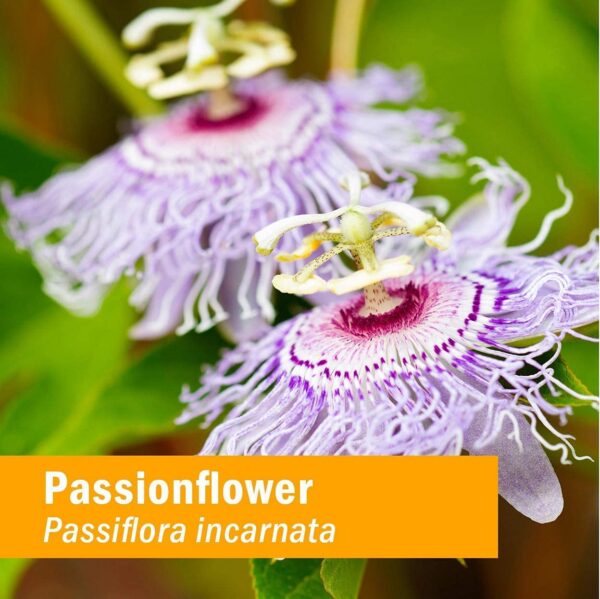 Extracto herbal flor de la pasión en envase botella