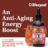 Extracto de hongos disuelto cordyceps Lifecykel