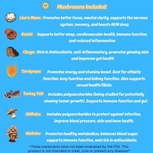 Version 1.0.0 Extracto de hongos vegano y libre de gluten