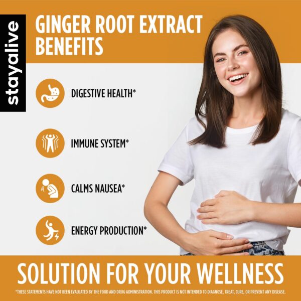 Extracto de jengibre con 5% gingeroles STAY ALIVE 120 pastillas