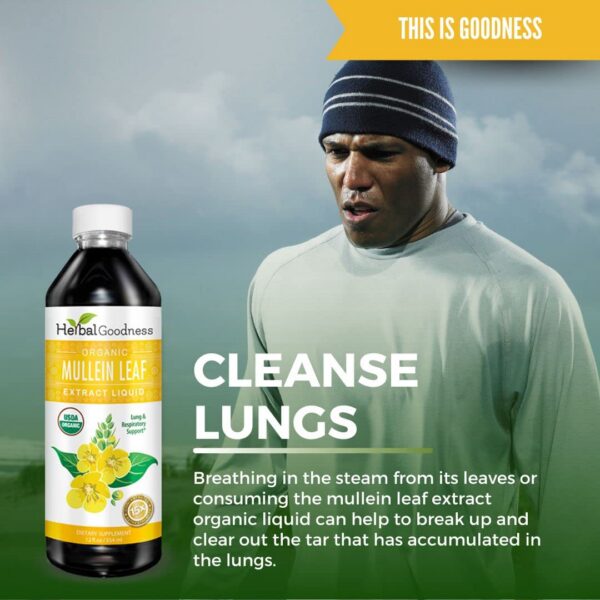 Extracto líquido de gordolobo gotas en mano