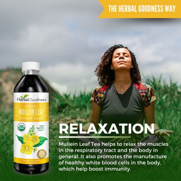 Extracto líquido de gordolobo uso en té