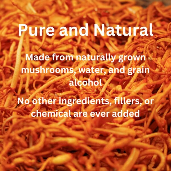 Extracto líquido hongo Cordyceps Mag Mushrooms con gotas dosificación