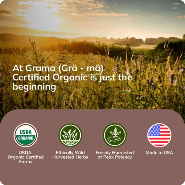 Extracto líquido de hongos para adultos y niños