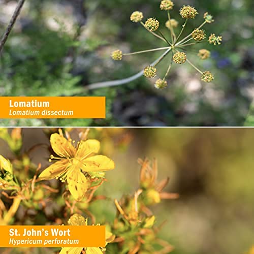 Extracto líquido Virattack fórmula avanzada para sistema inmunológico