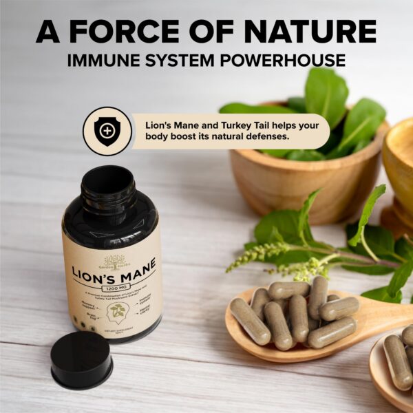 Extracto de melena de león y cola de pavo en cápsulas para energía
