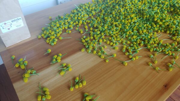 Extracto natural para alivio bucal y cuidado personal