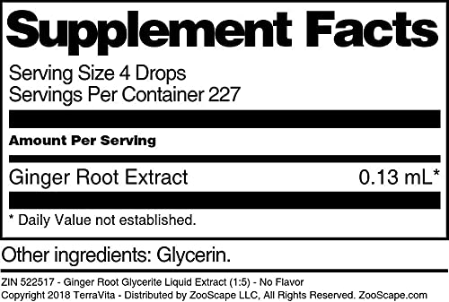 Version 1.0.0 Extracto natural jengibre líquido por TerraVita en botella