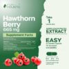 Extracto natural para salud vascular y antioxidante en cápsulas