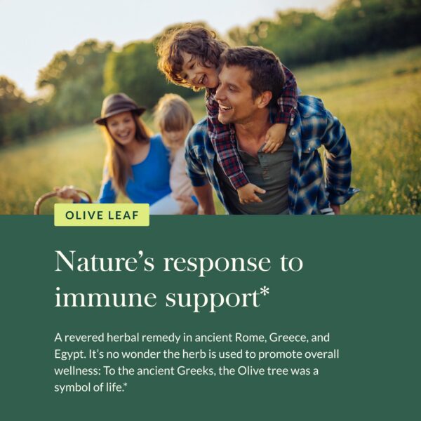 Extracto orgánico certificado Gaia Herbs Hoja de Olivo