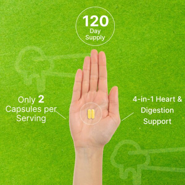 Extracto de piña para Bromelaina