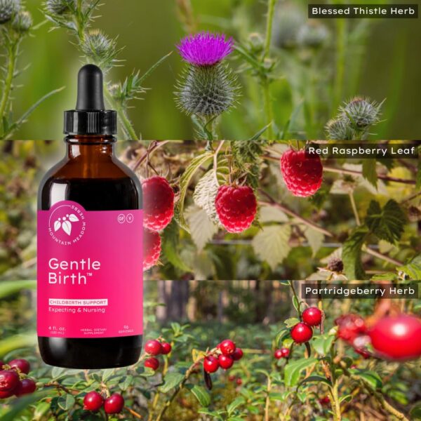 Version 1.0.0 Extracto preparado para parto por Mountain Meadow Herbs