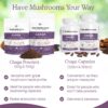 Extracto puro de chaga en polvo para salud vegano
