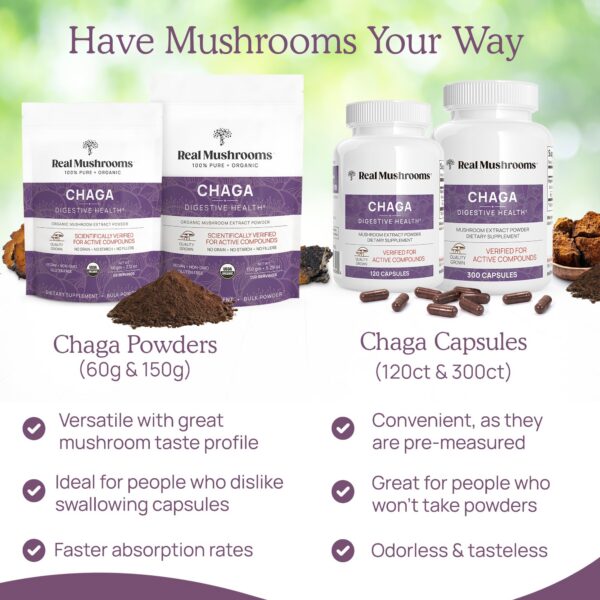 Extracto puro de chaga en polvo para salud vegano