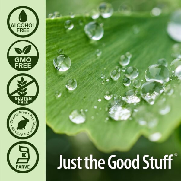 Version 1.0.0 Suplemento sin alcohol para concentración extracto de ginkgo biloba 2oz