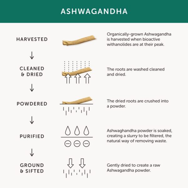 Extracto de raíz Ashwagandha con alta concentración en cápsulas