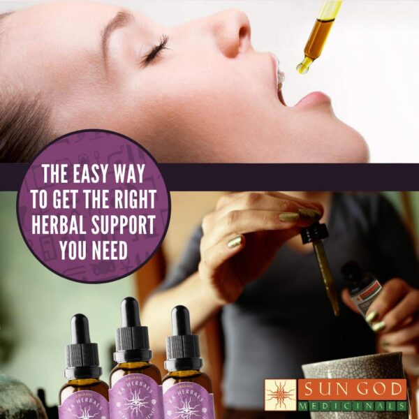 fruto de sauzgatillo para ingredientes extracto herbal natural