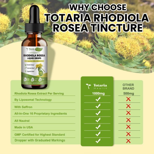Extracto de Rhodiola Rosea Ultra Potente sin azúcar ni alcohol